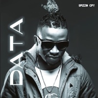 Data - Single - Spizzo Cpy