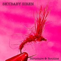 Structure & Routine - Single - Skybaby Siren