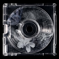 Mi Trankilizante - Single - Venty1gr