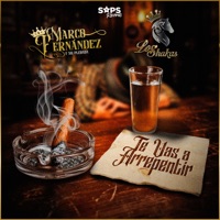 Te Vas a Arrepentir - Single - Marco Fernández y su Plebada & Los Shakas