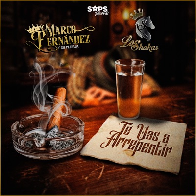 Te Vas a Arrepentir - Single