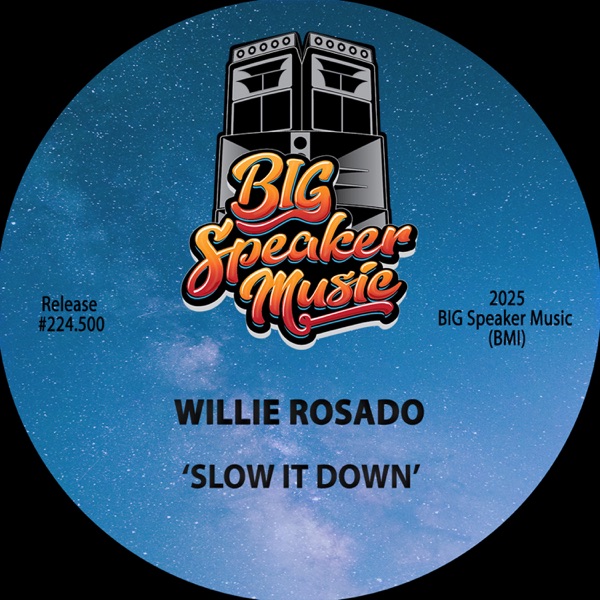 Slow It Down - Single