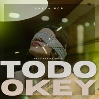 Todo Okey - Single - chelo hop & Astrallbass