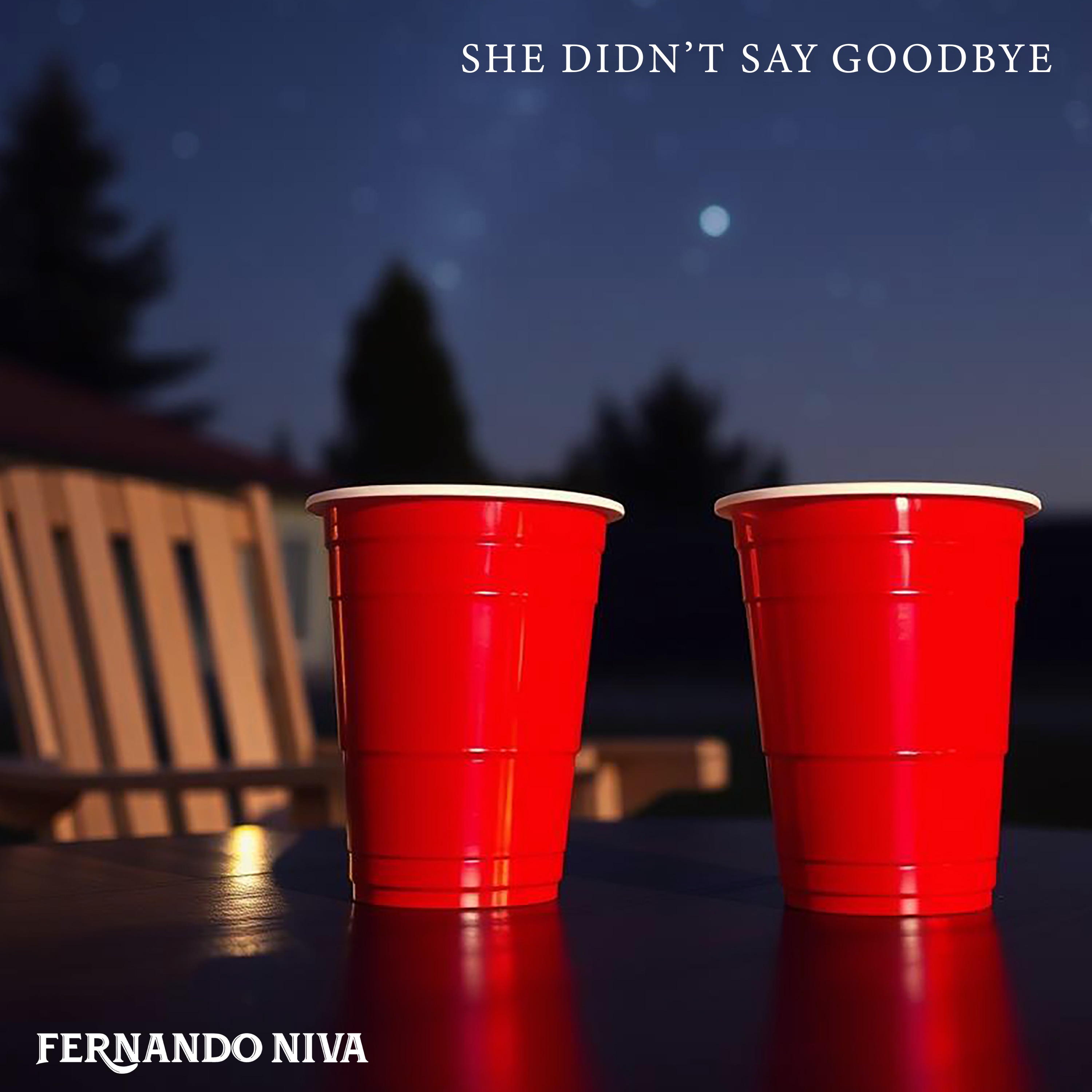 She Didn’t Say Goodbye - Single