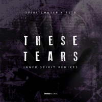 These Tears - Single - Spiritchaser & Est8