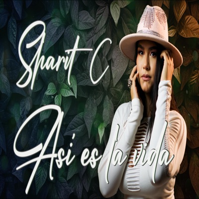 Así es la vida - Single