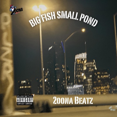 Big Fish Small Pond - EP