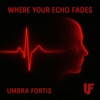 Where Your Echo Fades