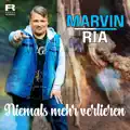 Niemals Mehr Verlieren