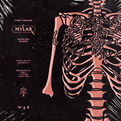 MYLAR - Single