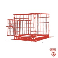 B4 DOG - Single - Skav