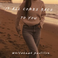 Whitehawk Pavilion - It All Comes Back To You