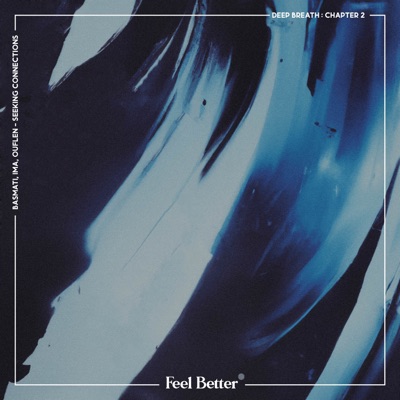 Seeking Connections (feat. Feel Better) - Single