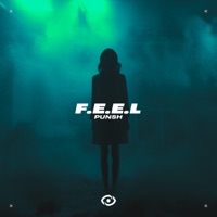 F.E.E.L - Single - PUNSH