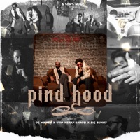 PIND HOOD - Single - VVIP Herry Shroti, OG Nishen & Big Bunny
