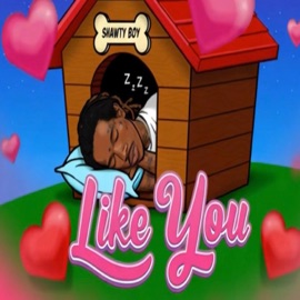 I Like You Shawty Boy