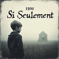Si seulement - Single - IDEM Mehdi Gonzalez