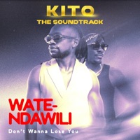 Don't Wanna Lose You (From Kito the Soundtrack) - Single - Watendawili