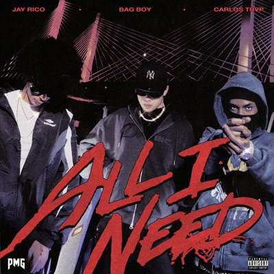All I Need (feat. Jay Rico & Carlos Trvp) - Single