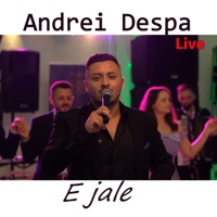 E jale (Live) - Single - Andrei Despa