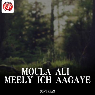Moula Ali Meely Ich Aagaye - Single