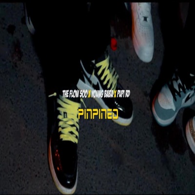 Pimpineo (feat. El Pupi RD & The Flow 500) - Single