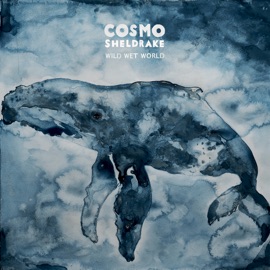 Bathed in Sound Cosmo Sheldrake