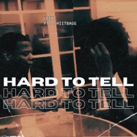 Hard To Tell (feat. Shiitbagg) - Single - Leek
