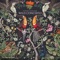 White Throated Sparrow (Is Happy On the Glacier) - Stewart Copeland, Troy Miller, Kingdom Orchestra & The Listening Planet lyrics