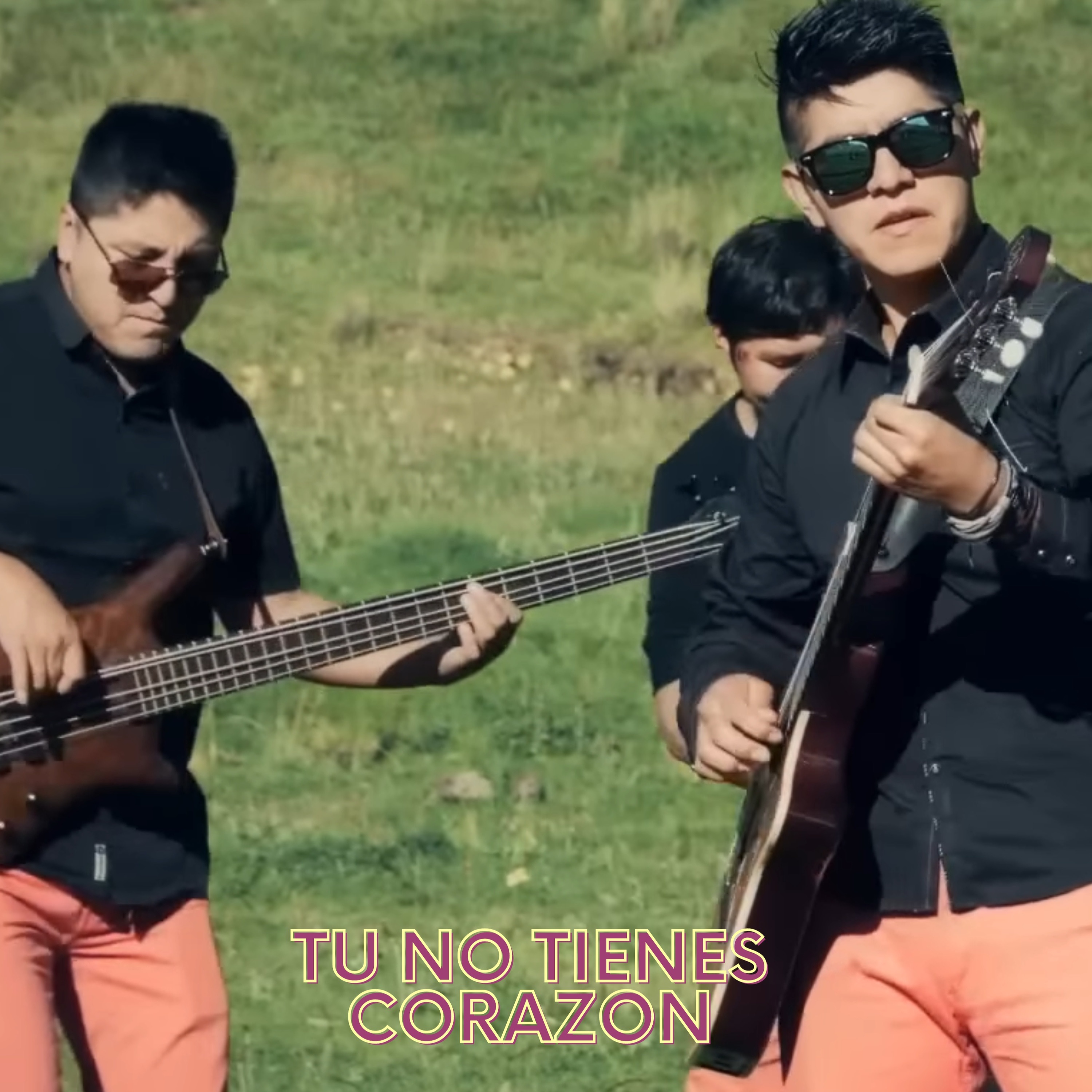 Agrupación Puro Amor - TU NO TIENES CORAZON