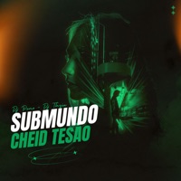 Submundo Cheid Tesao - Single - DJ THZIN & dj pemo