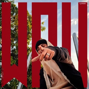 wow (feat. Pai Music & xposed) - Single
