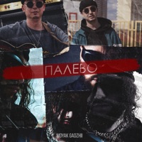 палево - Single - MOYAK & GADZHII