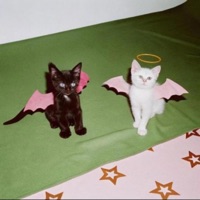 heart attack (feat. convo) - Single - STAR NEDIA