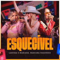 Esquecível (Ao Vivo) - Single - Larissa e Mariana & Mariana Fagundes