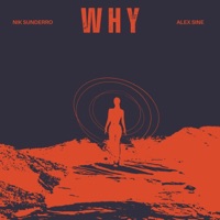 Why - Single - Nik Sunderro & Alex Sine