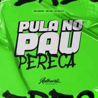 Pula no Pau Perereca (feat. MC GW & Mc kenny) - Single - DJ DN 011