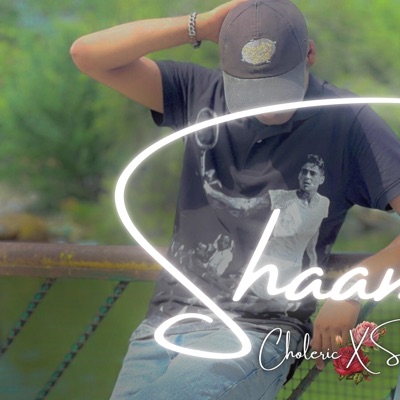 Shamein (feat. Sameer & Raman the kid) - Single