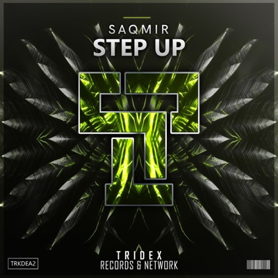 Step Up - Single