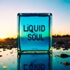 Liquid Soul