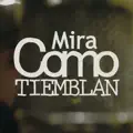 Mira como tiemblan