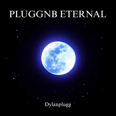 Pluggnb Eternal - Single