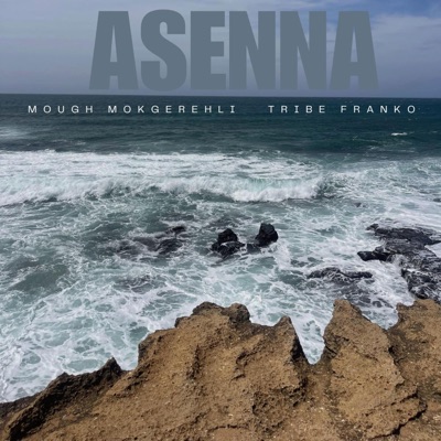 Asenna (feat. Tribe Franko) - Single