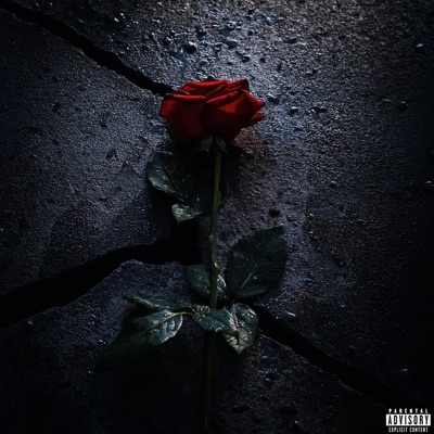 Beauty In The Struggle - EP