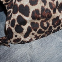 Cardio - Single - m1ka