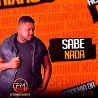 Sabe Nada - Single - Pedrinha Moraes
