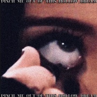 pinch me out of this hollow dream (feat. KA1TA) - Single - 0p!0n