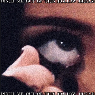 pinch me out of this hollow dream (feat. KA1TA) - Single