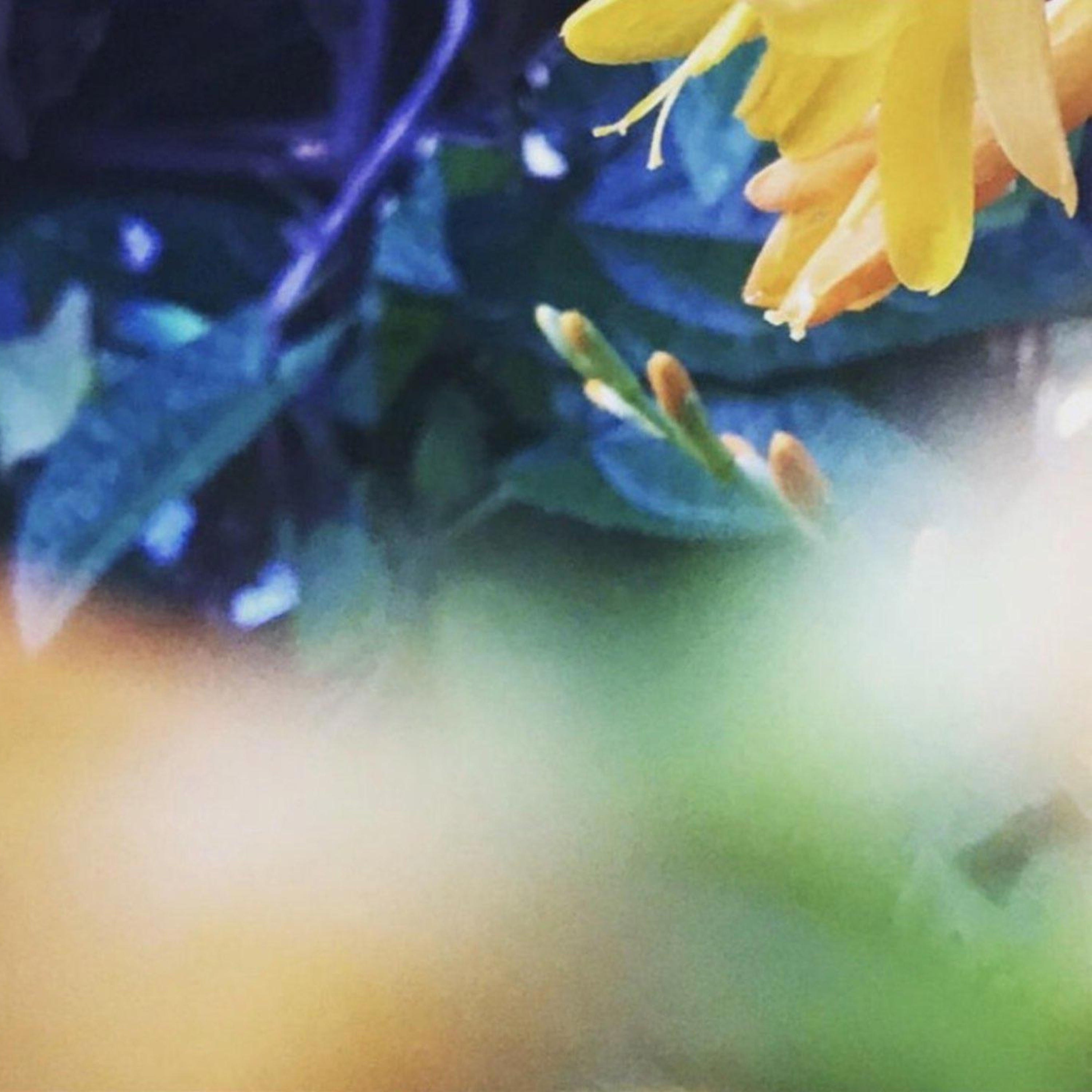 I Want / Slip - Single