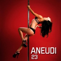 23 - Single - Aneudi